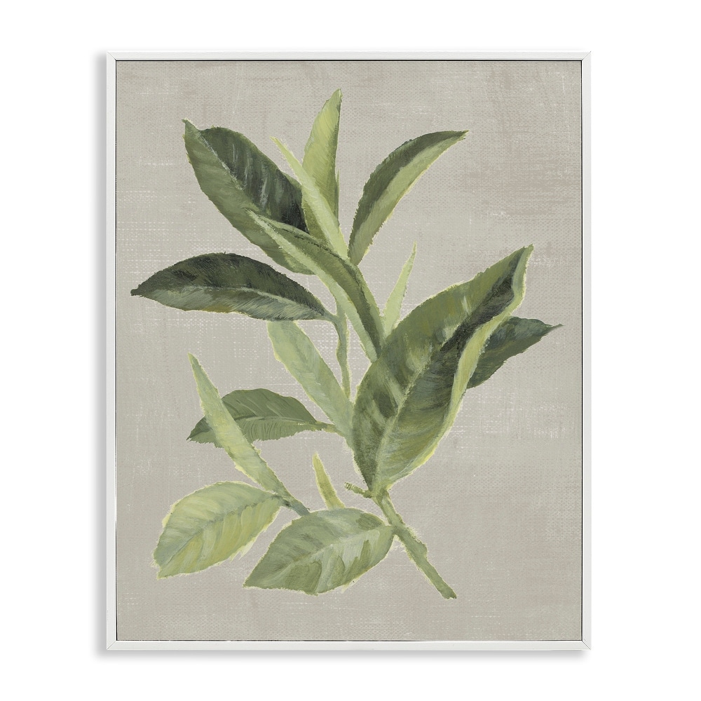 Stupell Green Tea Plant Leaf Framed Giclee Art Design By Lanie Loreth