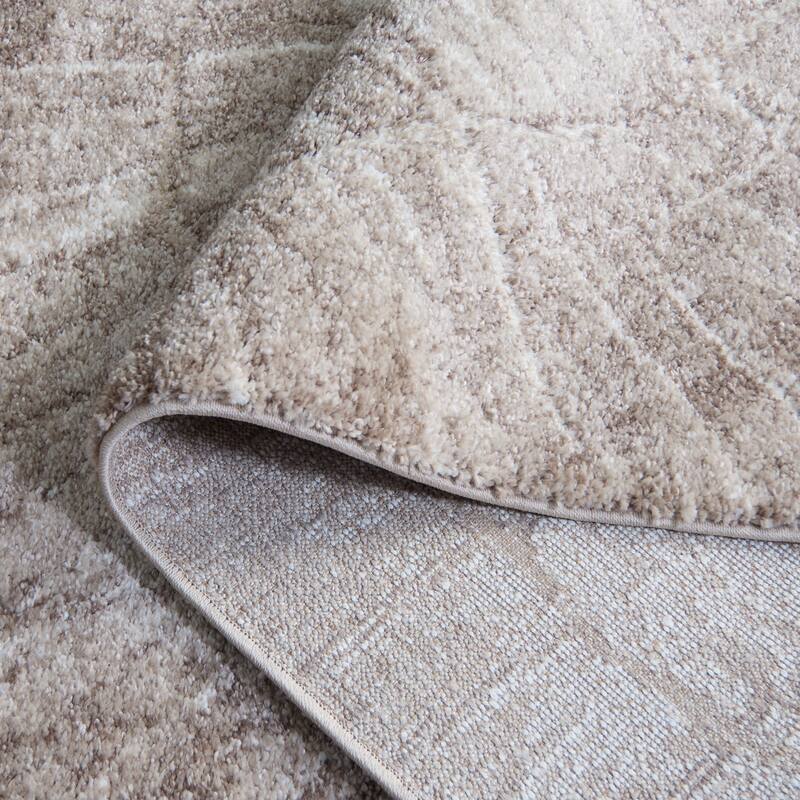 SAFAVIEH Northport Sigun Rug