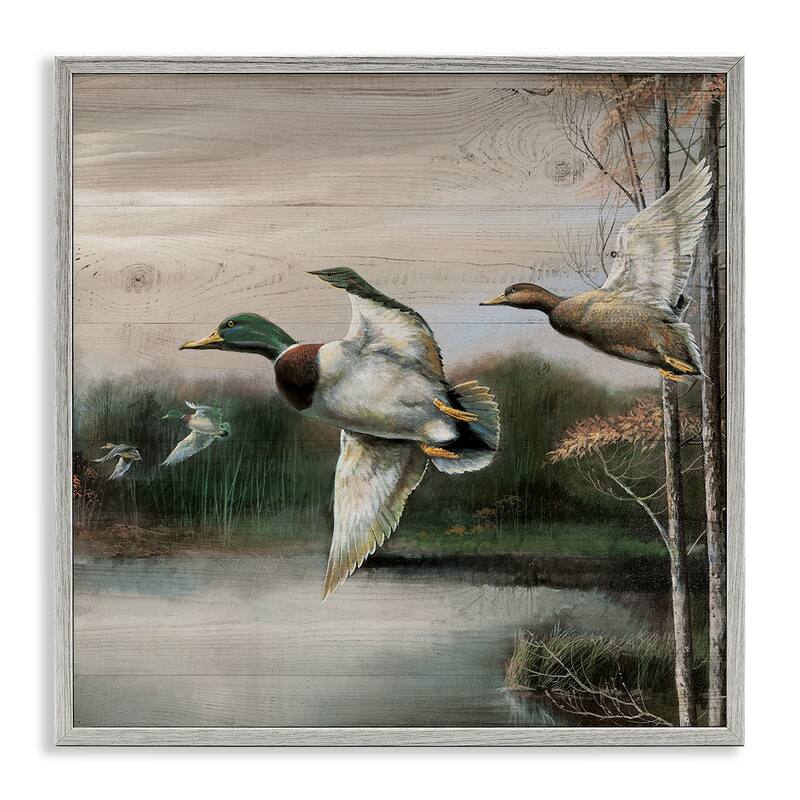 Stupell Flying Ducks in Rustic Nature Framed Giclee Art Design By Ruane Manning - 12 x 12 - Grey