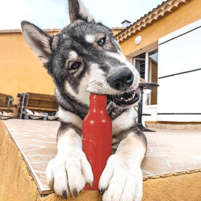 VECELA Dog Chew Toy Medium Dogs, Interactive Toys for Dogs Training Dental Care Dog Toys, Beer Bottle Design
