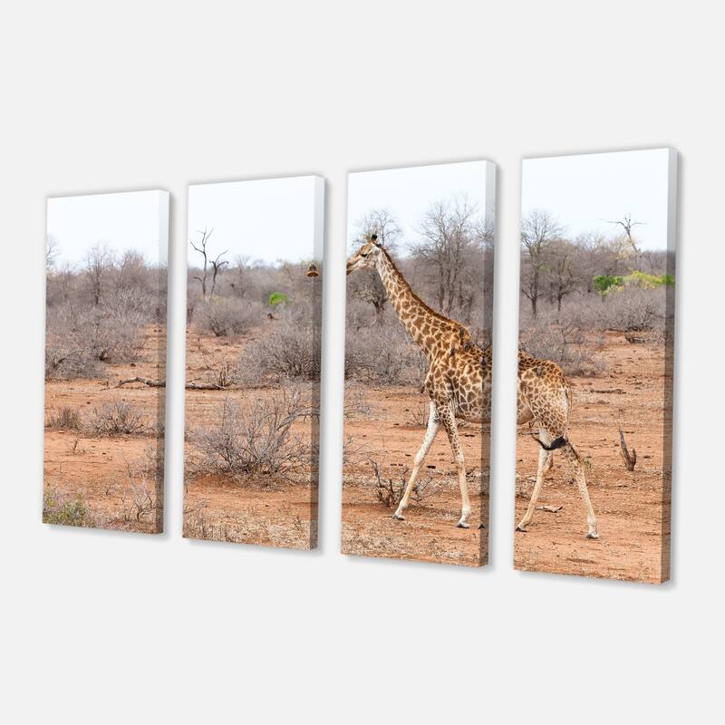 Designart "Giraffe Walking through African Forest" Modern Animal Canvas Wall Artwork Print - 48 in. wide x 28 in. high - 4 Panels