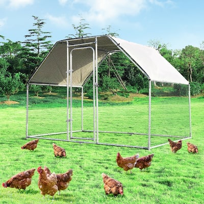 Costway Large Walk In Chicken Coop Run House Shade Cage 9.5' x 6.5' - 9.5' x 6.5' x 6' (L x W x H)