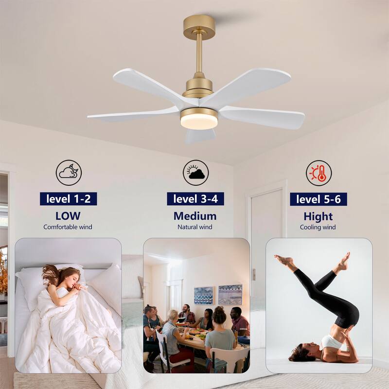 42/52 Inch Ceiling Fan,Electric Fan with Lights & Remote Control,Dimmable 3-Color LED