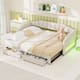 Option Beige