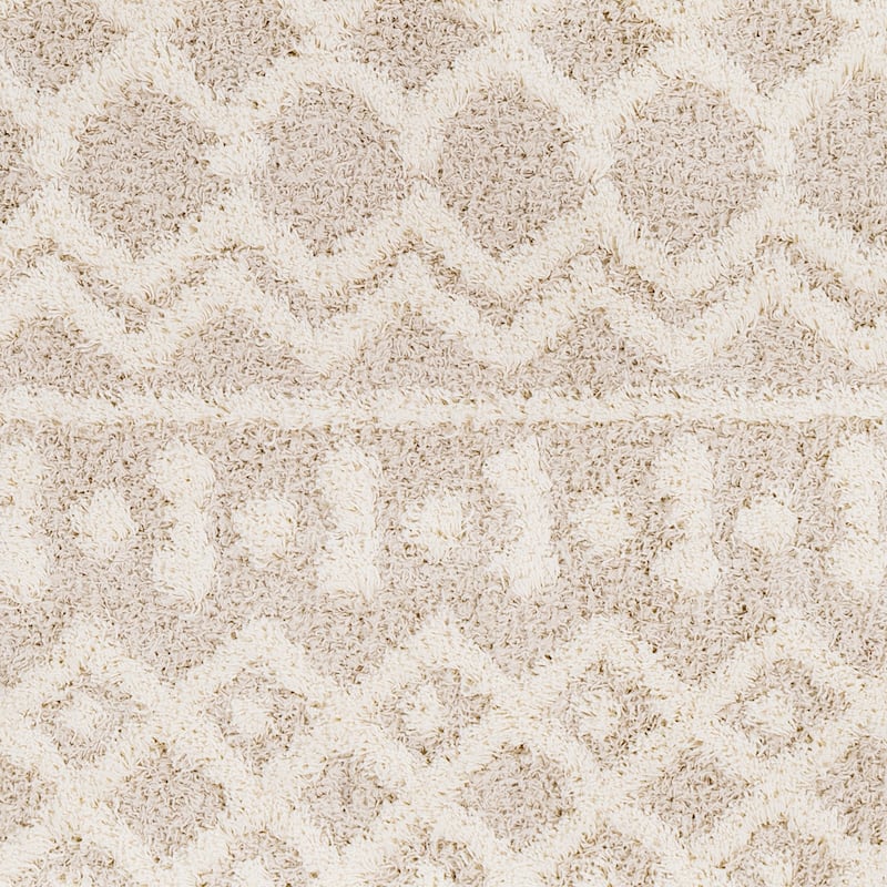 Artistic Weavers Newton Geometric Moroccan Trellis Shag Area Rug