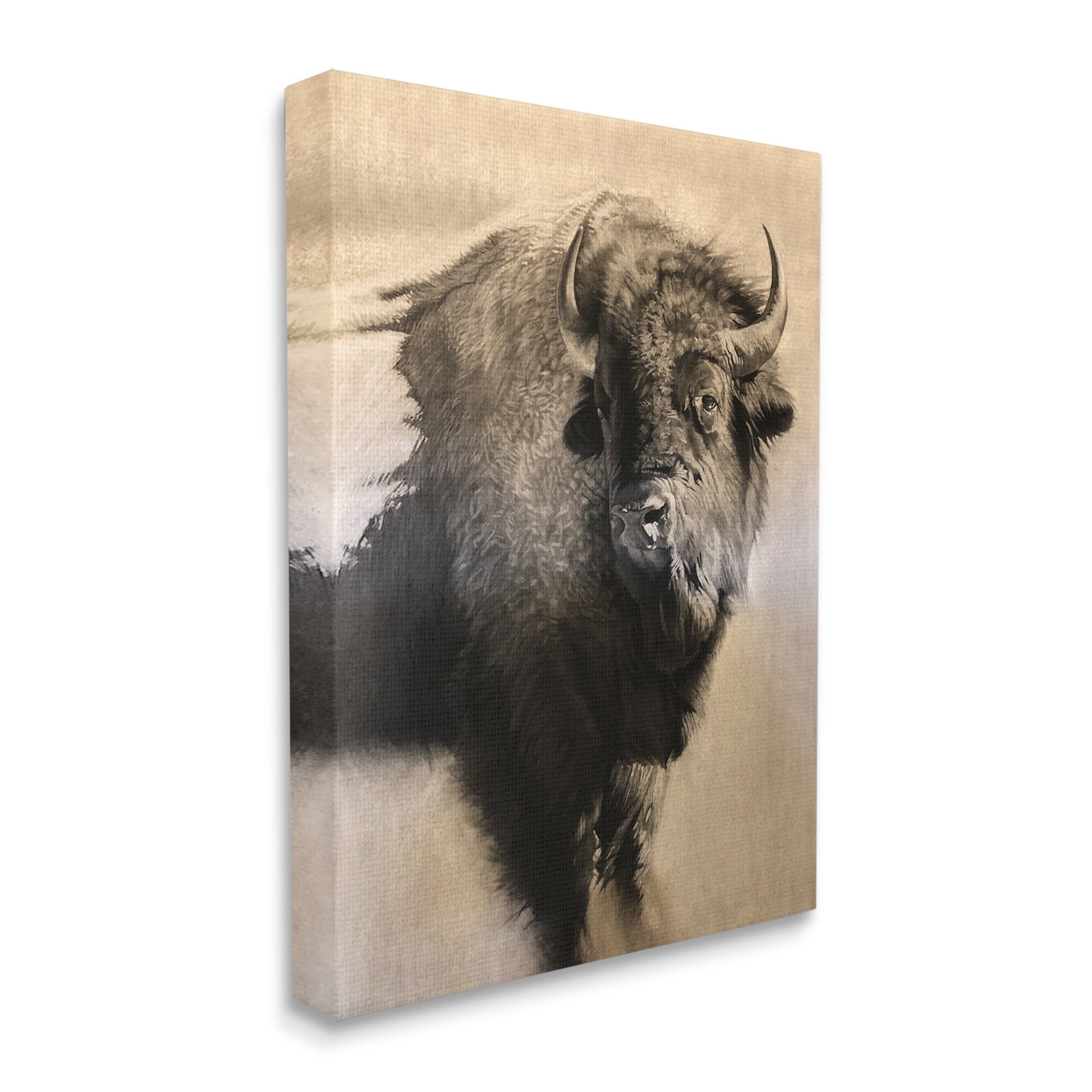 Stupell Young Bull Vintage Portrait Realistic Rustic Drawing-image
