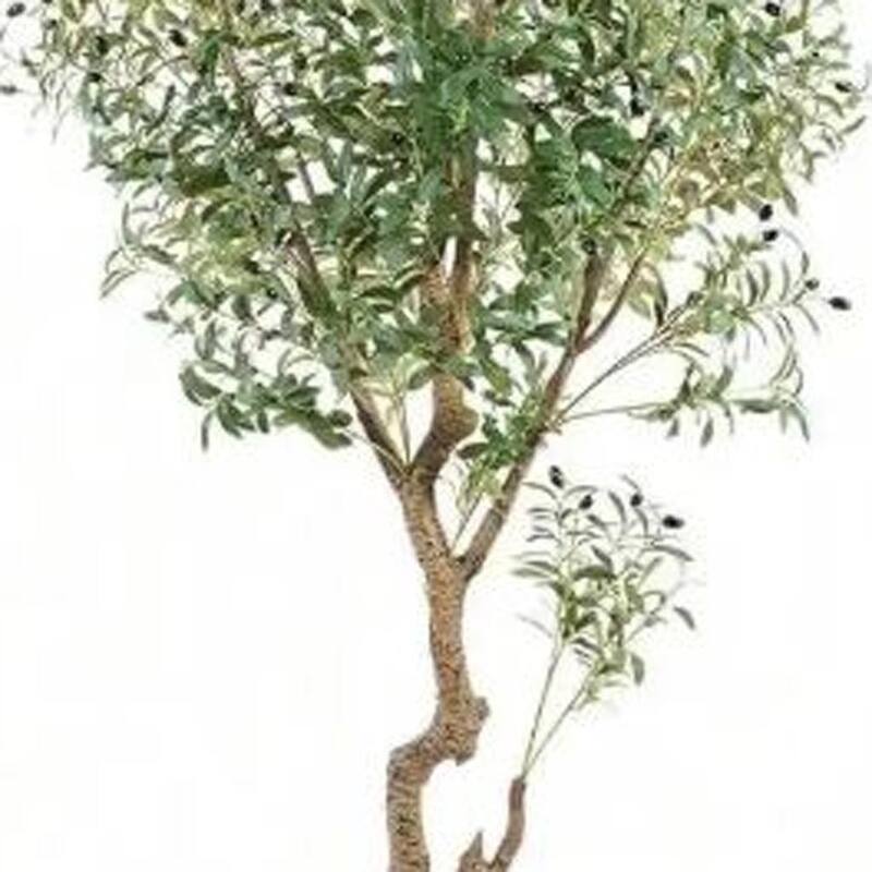 HomeRoots 87" Green Artificial Olive Tree in a Black Pot - 8.27 in. x 86.61 in. x 8.27 in.