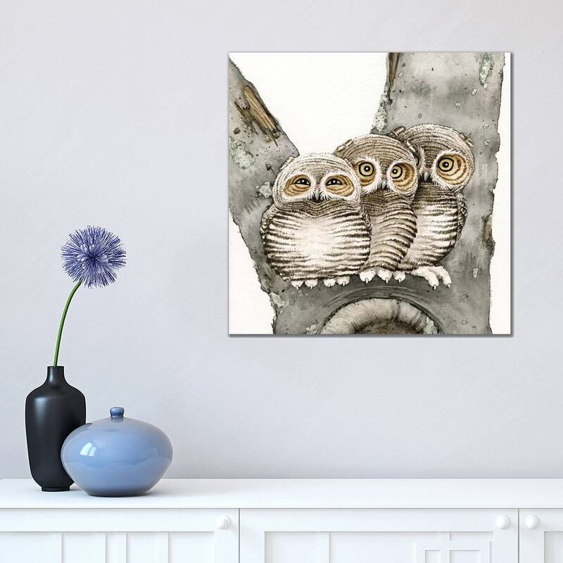 iCanvas "Three Owls" by Tracy Lizotte Canvas Print - 18x18x1.5
