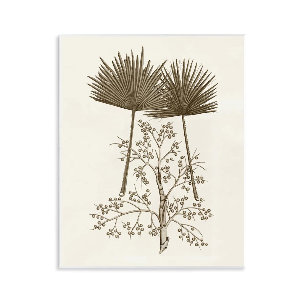 Stupell Palm Leaf & Olive Branches Wall Plaque Art Design By Phillipa Katz