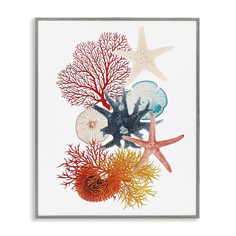 Stupell Coral & Undersea Creatures Framed Giclee Art Design By Ramona Murdock - 11 x 14 - Grey