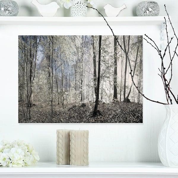 slide 2 of 12, Designart "Dark Morning in Forest Panorama" Large Canvas Art Print - Multi-color 20 in. wide x 12 in. high