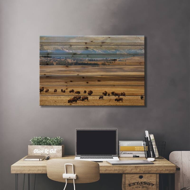 Grazing Bison (American Buffalo) Herd On The Plain, Pike National Forest, Colorado, USA Print On Wood by Cindy Miller Hopkins
