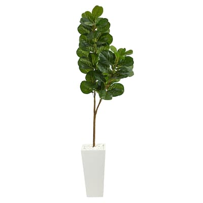 6' Fiddle leaf Fig Artificial Tree in Tall White Planter - 20"