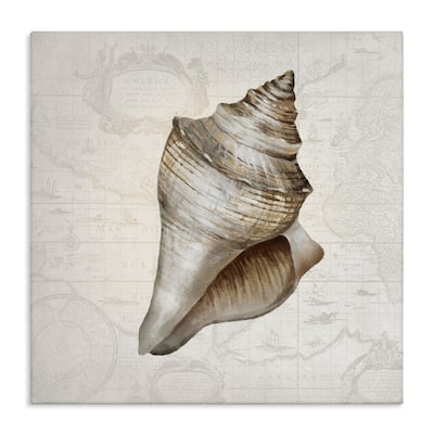 Stupell Conch Shell over Vintage Map Canvas Wall Art Design By Conrad Knutsen