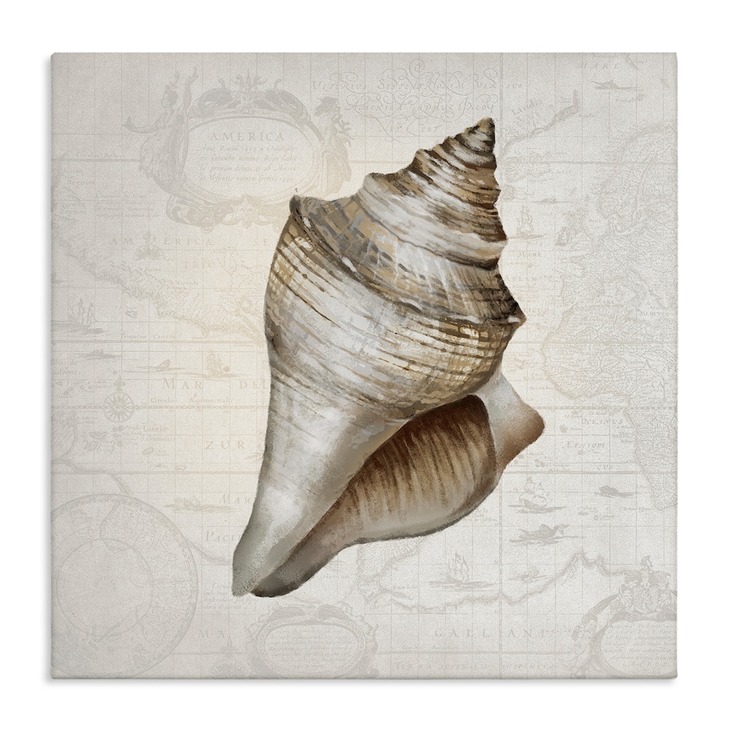 Stupell Conch Shell over Vintage Map Canvas Wall Art Design By Conrad Knutsen