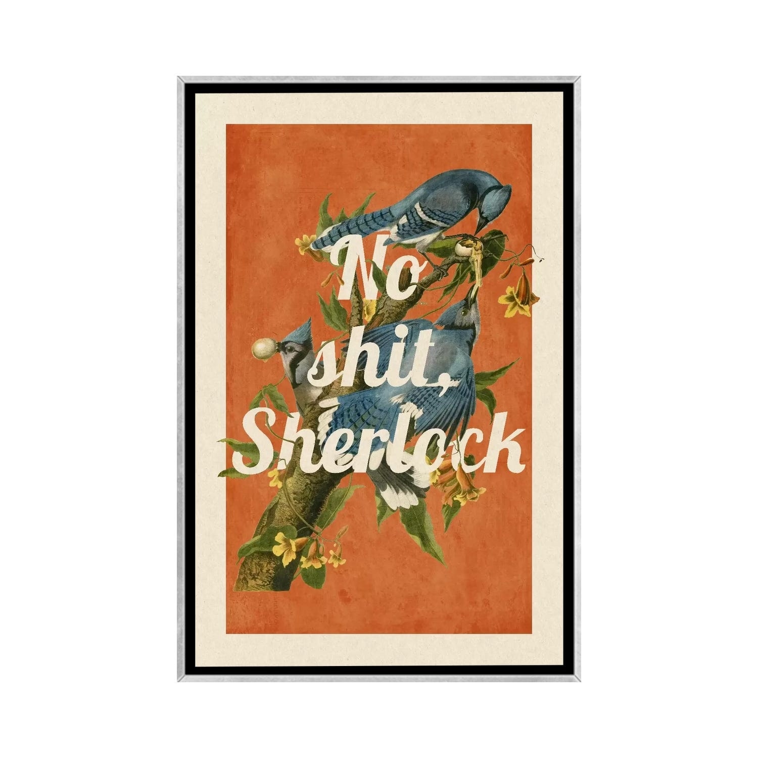 iCanvas "No Sh-t Sherlock" by 5by5collective Framed