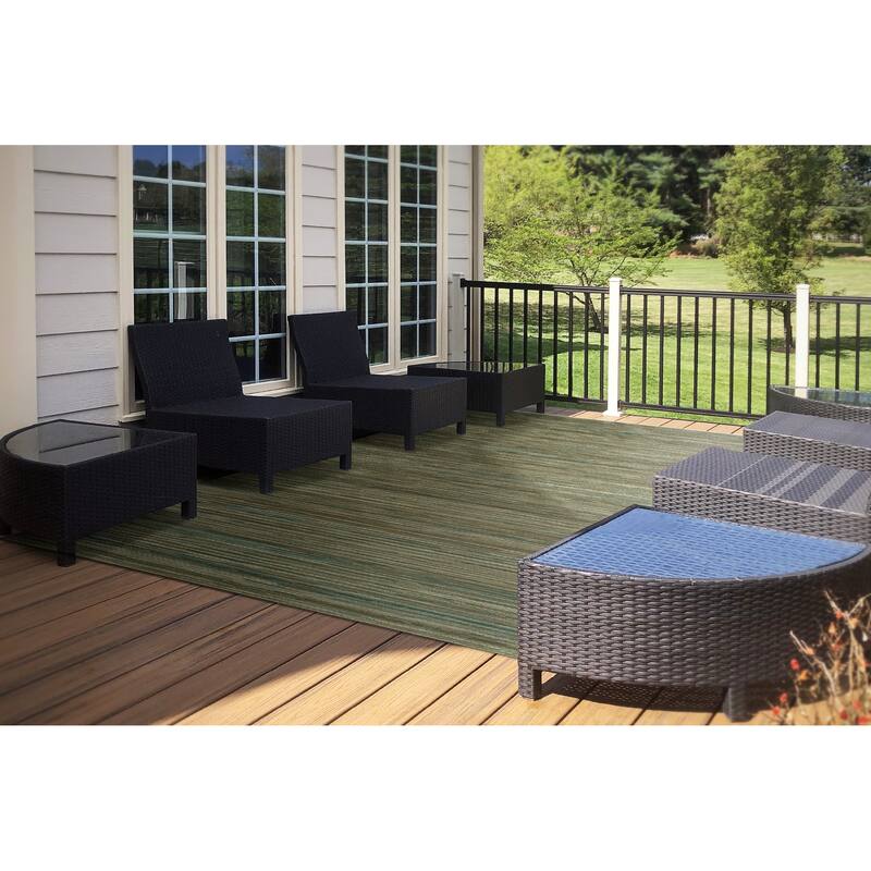 Dynamic Rugs Brighton Indoor/Outdoor Polypropylene Patio Backyard Area Rug