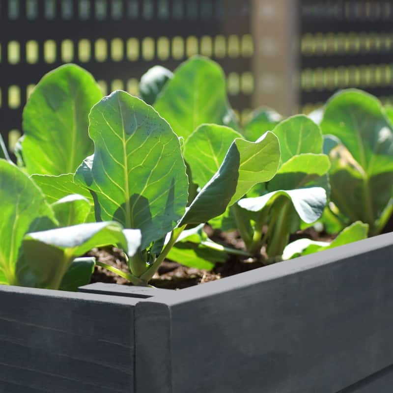 VEIKOUS Wooden Raised Garden Bed for Vegetables Oversized Deep Planter Box with Liner