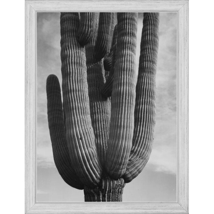 Easy Art Prints Ansel Adams S Cactus Detail Saguaros Premium Canvas Art Overstock 25758486 Createful art 1.086 views18 days ago. easy art prints ansel adams s cactus detail saguaros premium canvas art