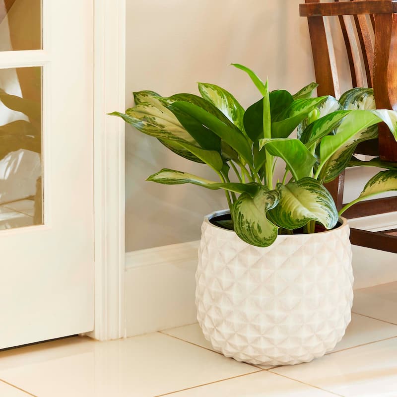 Southern Patio Pineapple White Ceramix 12-inch Planter