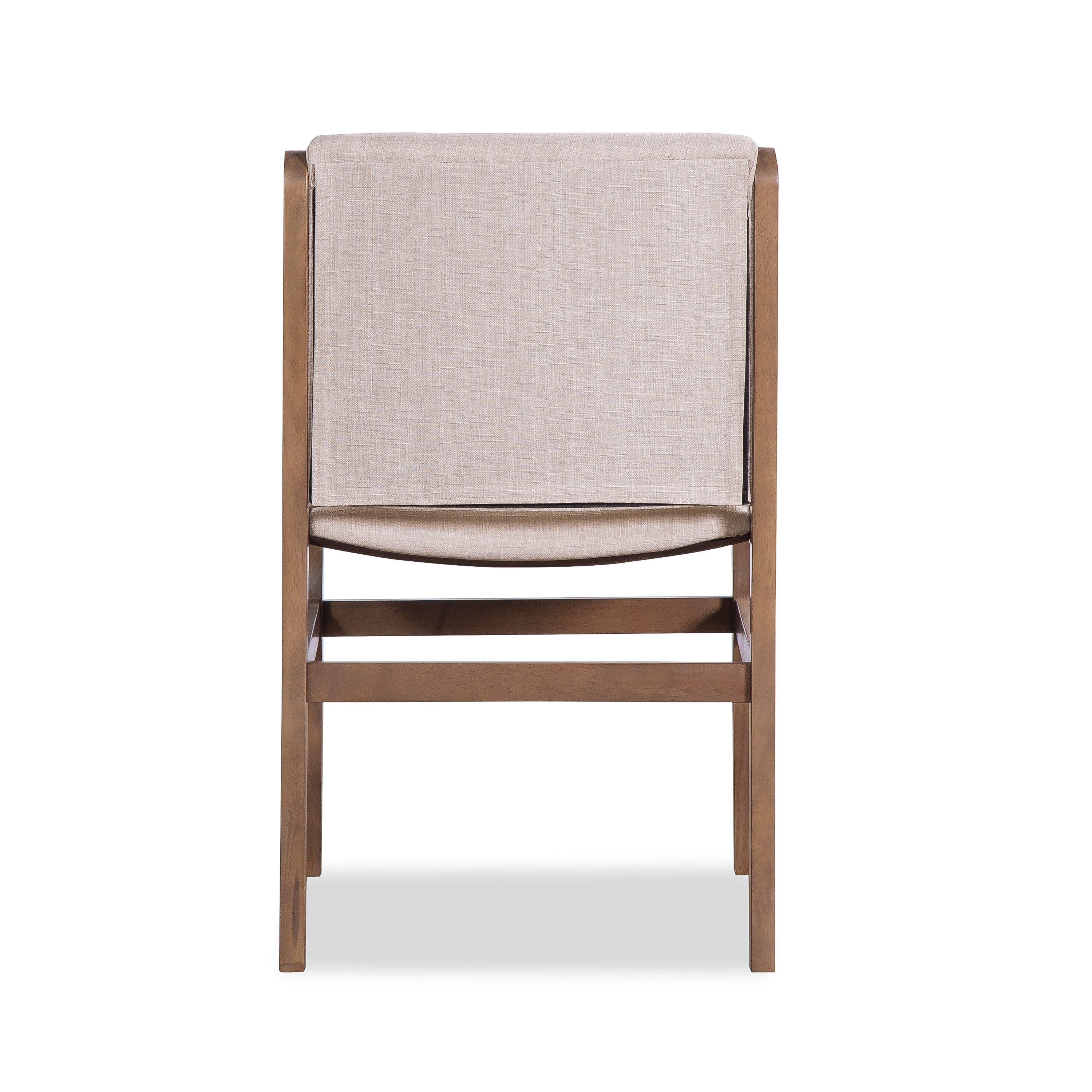 Modern Accent Dining Chairs