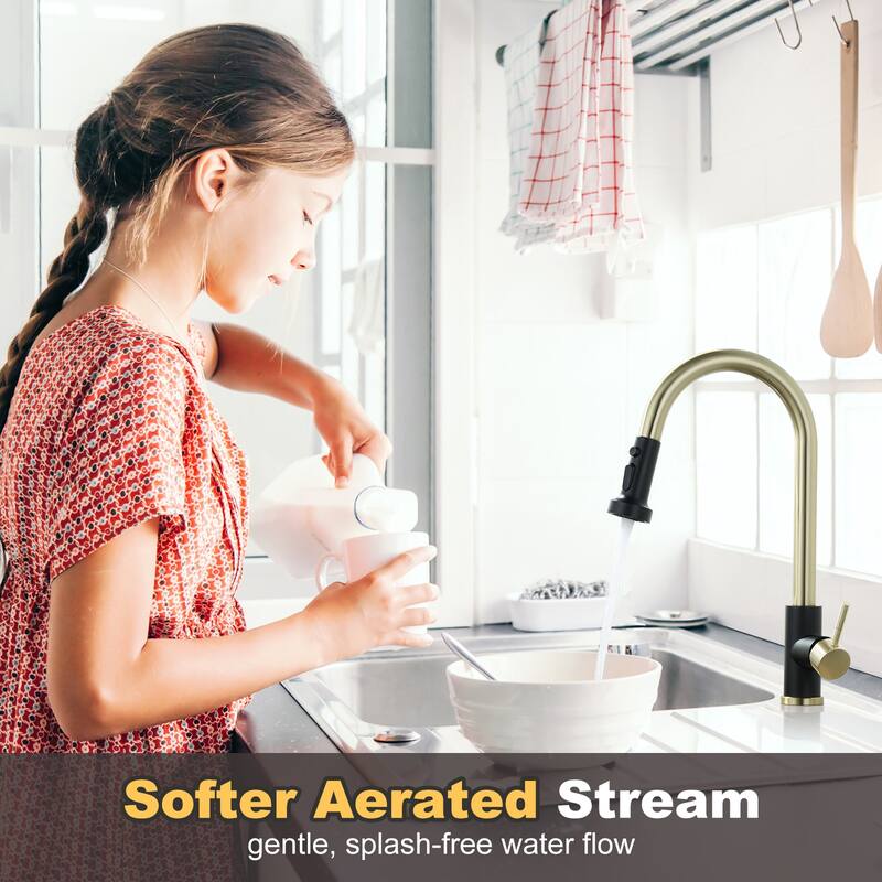 WOWOW Single Handle Pull Down Sprayer Kitchen Faucet