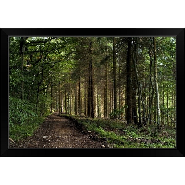 "Pine Forest" Black Framed Print