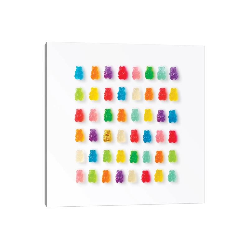 iCanvas "Rainbow Bears" by Erin Summer Canvas Print