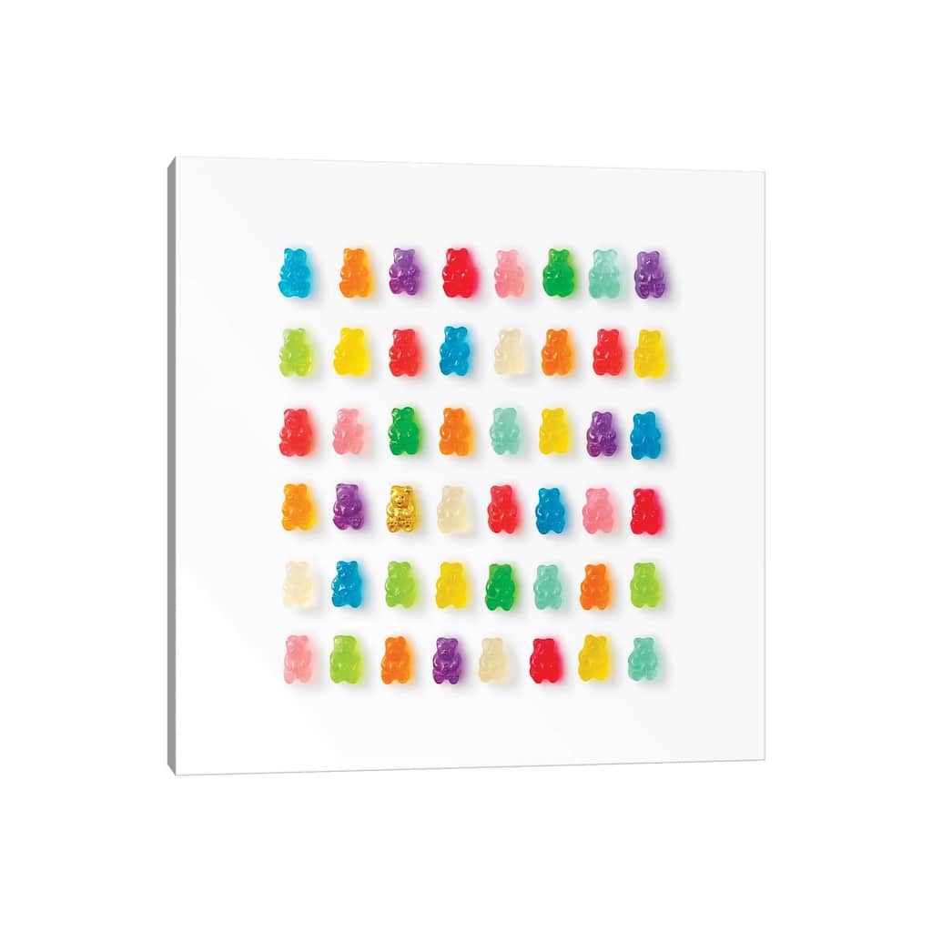 iCanvas "Rainbow Bears" by Erin Summer Canvas Print