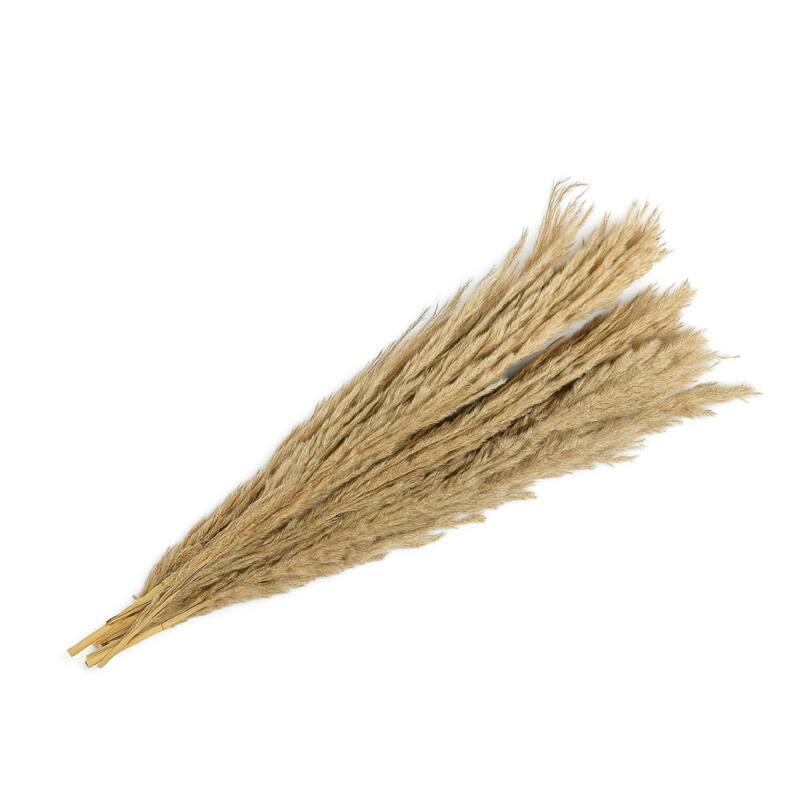 Long Dried Pampas Grass Spray Bundles - 24.5" - Brown