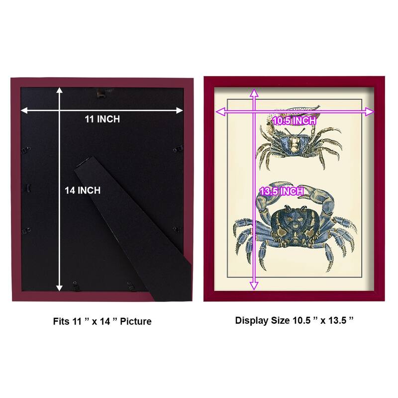 Antique Blue Crabs II -Framed Print w/glass-Cherry Red