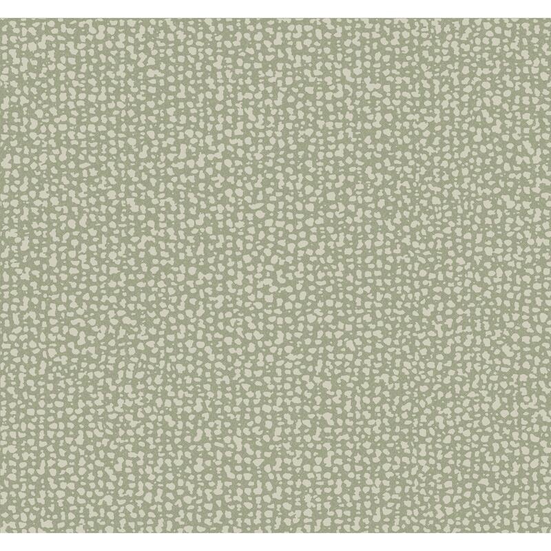 Gradignan Green Non-Woven Unpasted Geometrics Galaxies Wallpaper Covers about 60.75 sq. ft. - Green