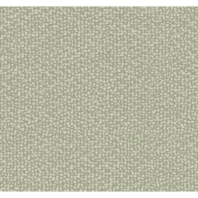 Gradignan Green Non-Woven Unpasted Geometrics Galaxies Wallpaper Covers about 60.75 sq. ft.