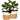 2 Pack Jute Rope Basket Planter with Plastic Liner for Indoor Plants, Home Decorations (11 In)