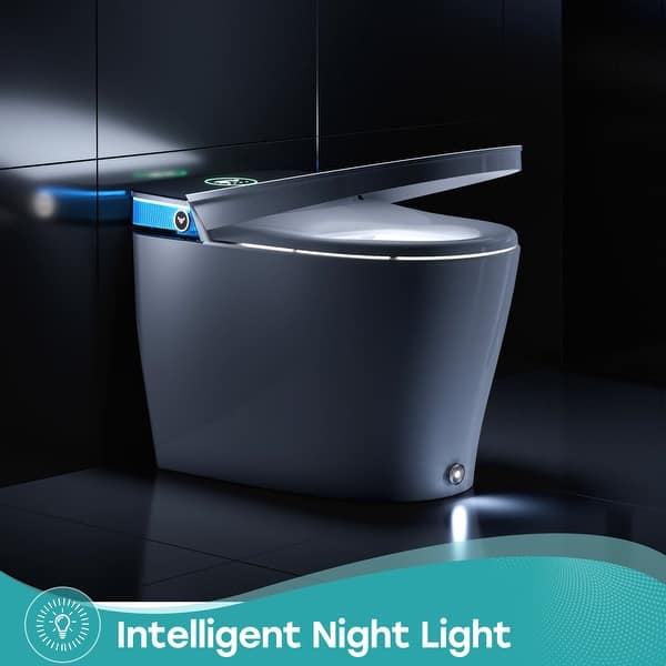 HOROW Elongated Smart Toilet Bidet 1.1 GPF with Built-in Tank, Warm Water, Night Light, Remote - T38D