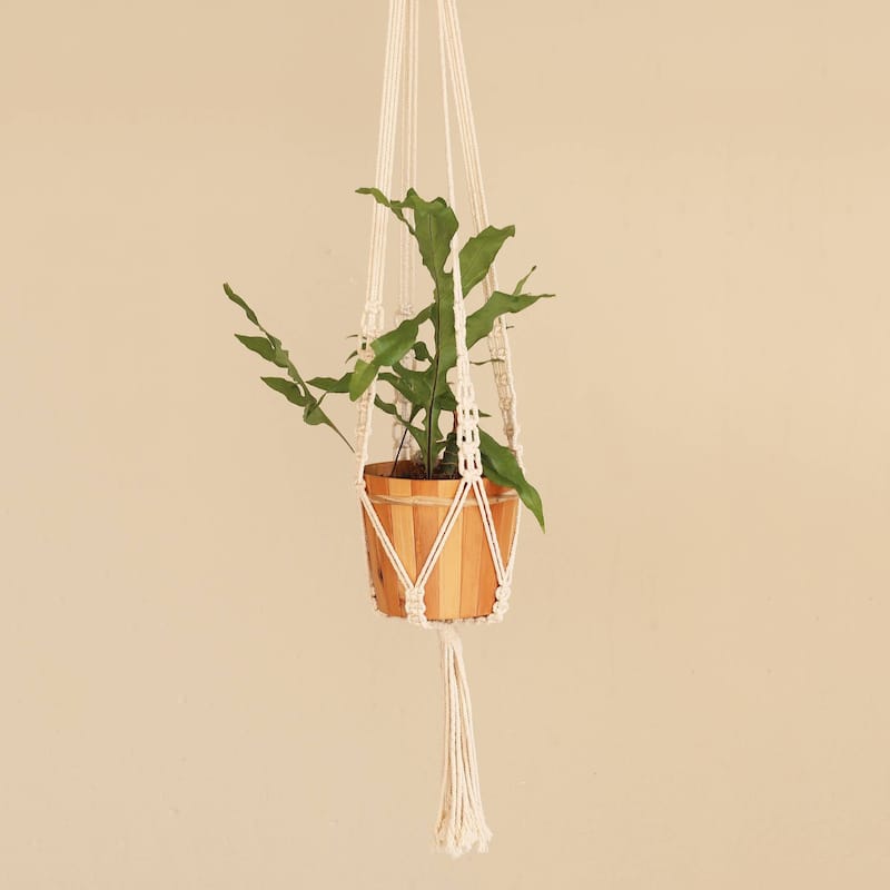 Novica Handmade Pure Home Cotton Macrame Flower Pot Hanger