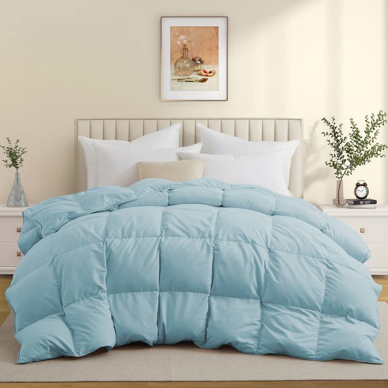 All Season Medium to Extra Warmth White Feather Down Comforter Duvet Insert - Queen - Blue