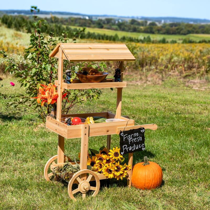 Sunnydaze Country Market Flower Cart Display Stand - 49.25” H - Natural Fir