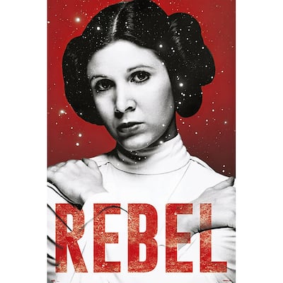 Princess Leia - Rebel Art Poster - 24 x 36 Inch