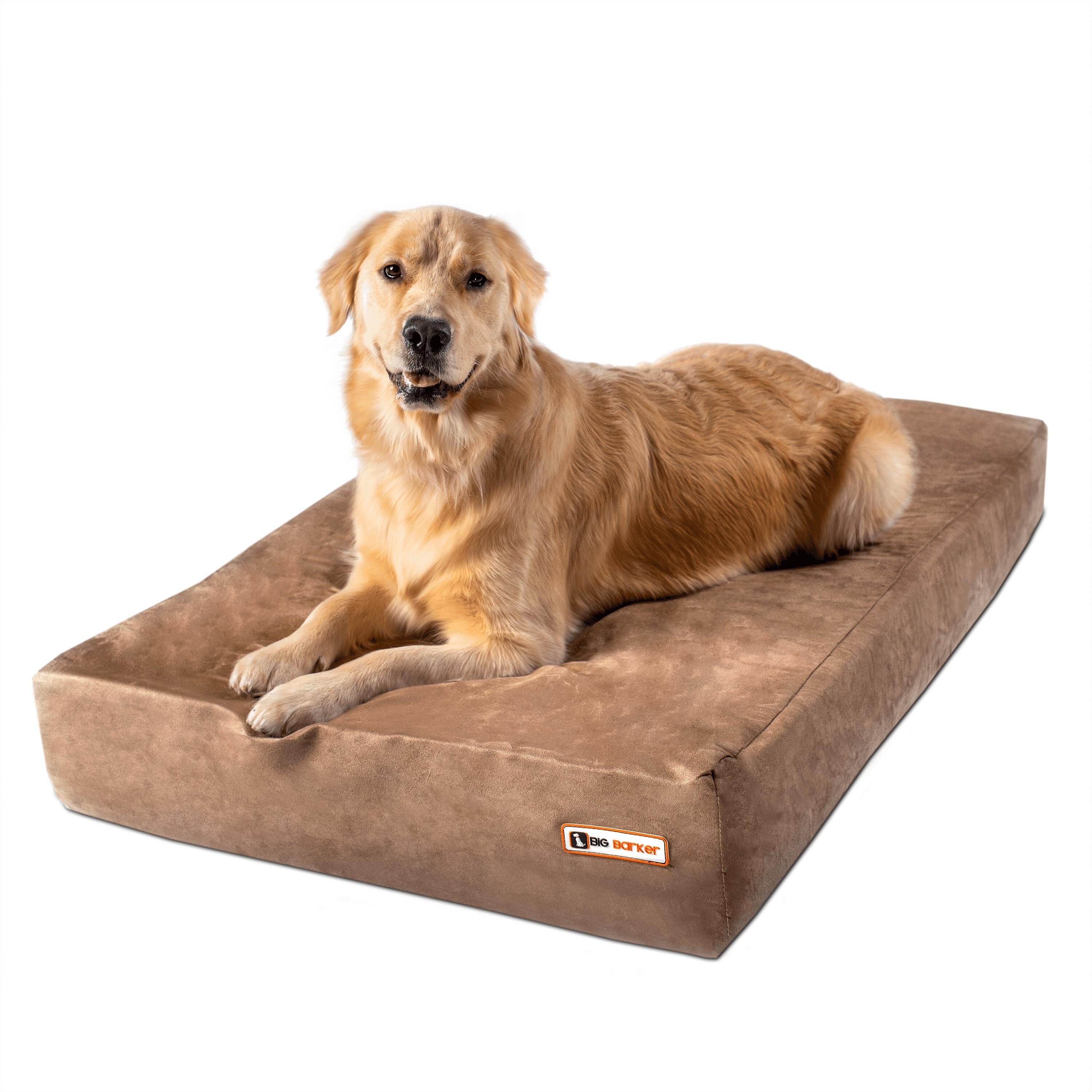 outdoor dog bed canada