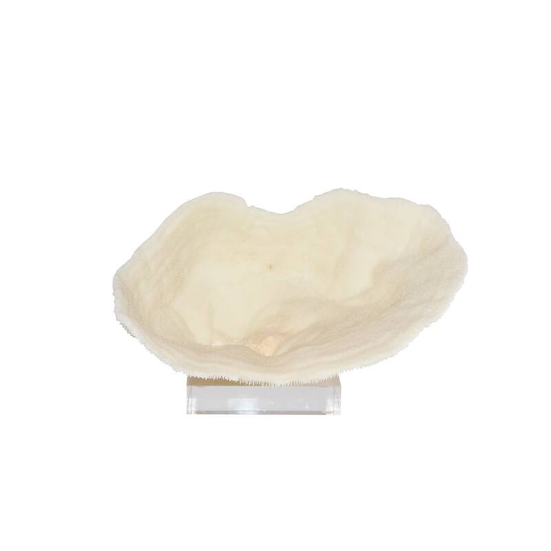 Bowl Coral 10-12 Inch On Acrylic Base