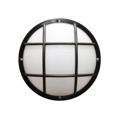 Essentials 1-Light Outdoor Wall Sconce