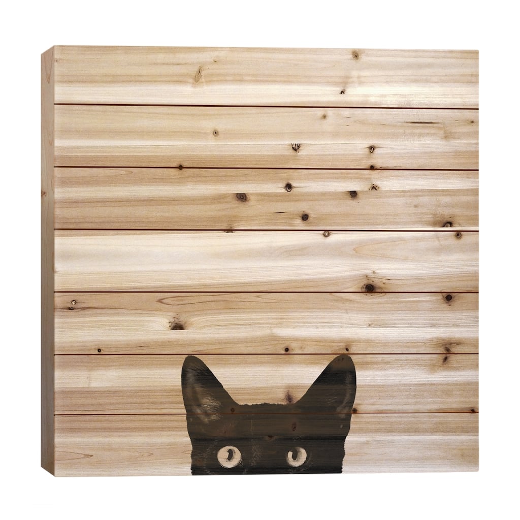 Curiosity Print On Wood by Jon Bertelli - Multi-Color
