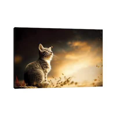 iCanvas "Cat" by Milos Karanovic Canvas Print