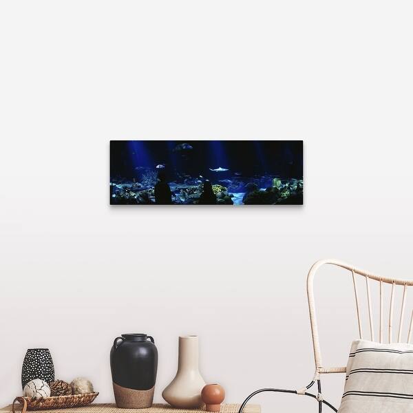 Shop Fish In An Aquarium Shedd Aquarium Chicago Illinois Canvas Wall Art Overstock 31180580