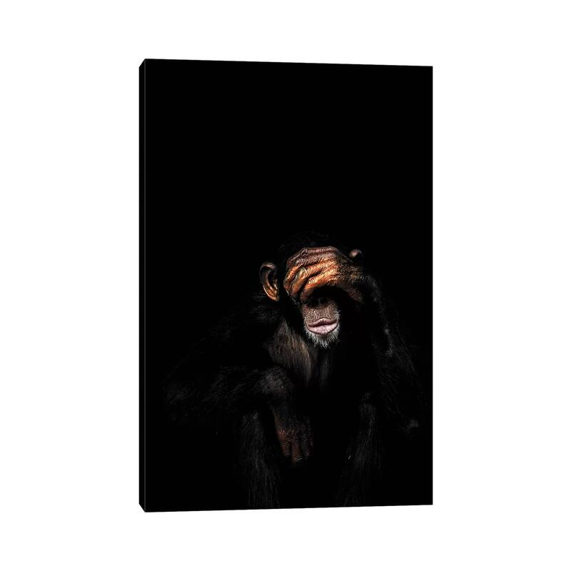 iCanvas "See No Evil" by Wouter Rikken Canvas Print