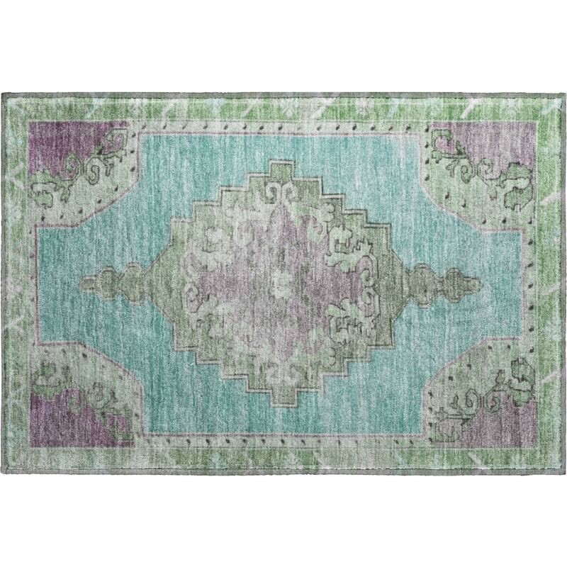 Premium Washable Super Soft Vintage Traditional Mayfield Rug