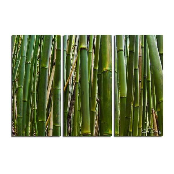 slide 2 of 3, 'Maui Palms II' 3-Piece Wrapped Canvas Wall Art Set by Chris Doherty - Green