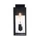 preview thumbnail 19 of 20, 2-pack 1-light/2-light Metal Outdoor Wall Sconce Weather-resistant