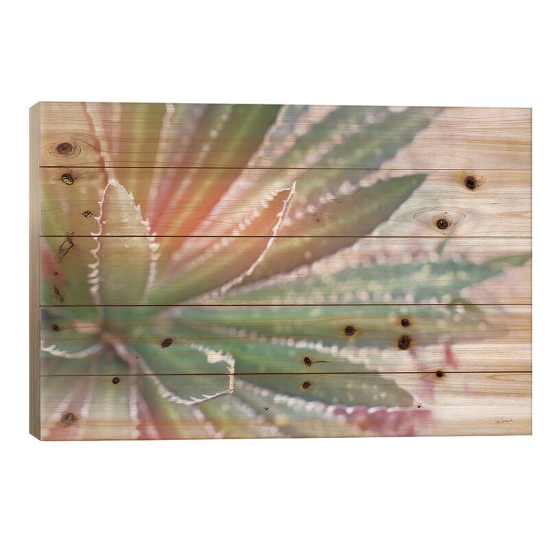 Dream Desert I Print On Wood by Sue Schlabach - Multi-Color - 26x40x1.5